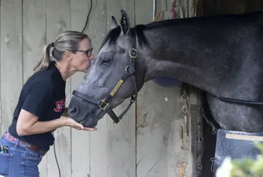 Fasig-Tipton yearling sale: Arcangelo, Up to the Mark first crops hit auction block for Lane's End