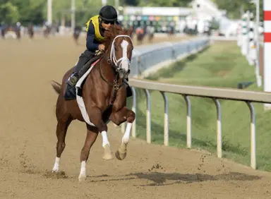 DRF's Horse Racing Playbook for Saturday, Aug. 8, 2026