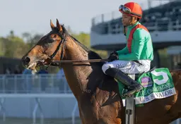 U. S. S. Valor will not run in Breeders' Cup Juvenile