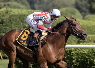 Risk Tolerance a heavy favorite in turf allowance