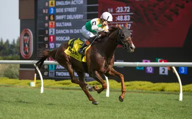 English Actor takes early lead all the way in Niagara Stakes