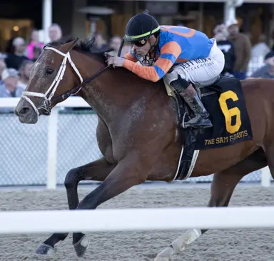 Kentucky Derby 2026: Renegade draws rail; DRF tabs Further Ado morning-line favorite
