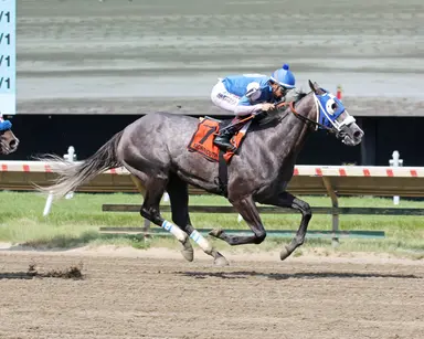 Front-running tactics prove best again for Summer’s Comin in Spruce Fir