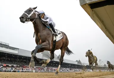 Cox pointing debut winners to pair of juvenile Grade 1s