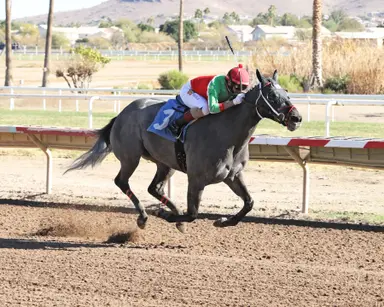 Budweiser Stakes lures Longacres Mile possibles, tops four-stakes card