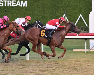Ifyousaidso looks to move forward off career-best effort
