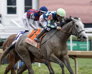 Couple of beauties loom large in sprint