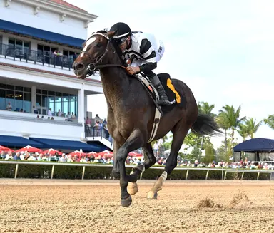 Weekend GamePlan: Picks for Fountain of Youth, The Very One, Black Gold