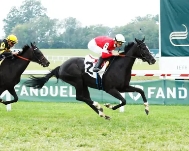 Weekend GamePlan for Oct. 14, 2023: Picks for Queen Elizabeth II Challenge Cup, Sands Point, Ontario Matron
