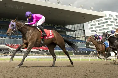 Intriguing sprint on recently reopened main turf
