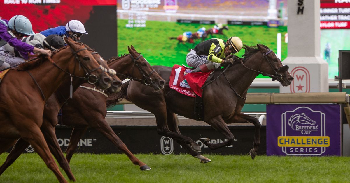 Breeders' Cup Filly and Mare Turf: Gimme a Nother now fully acclimated