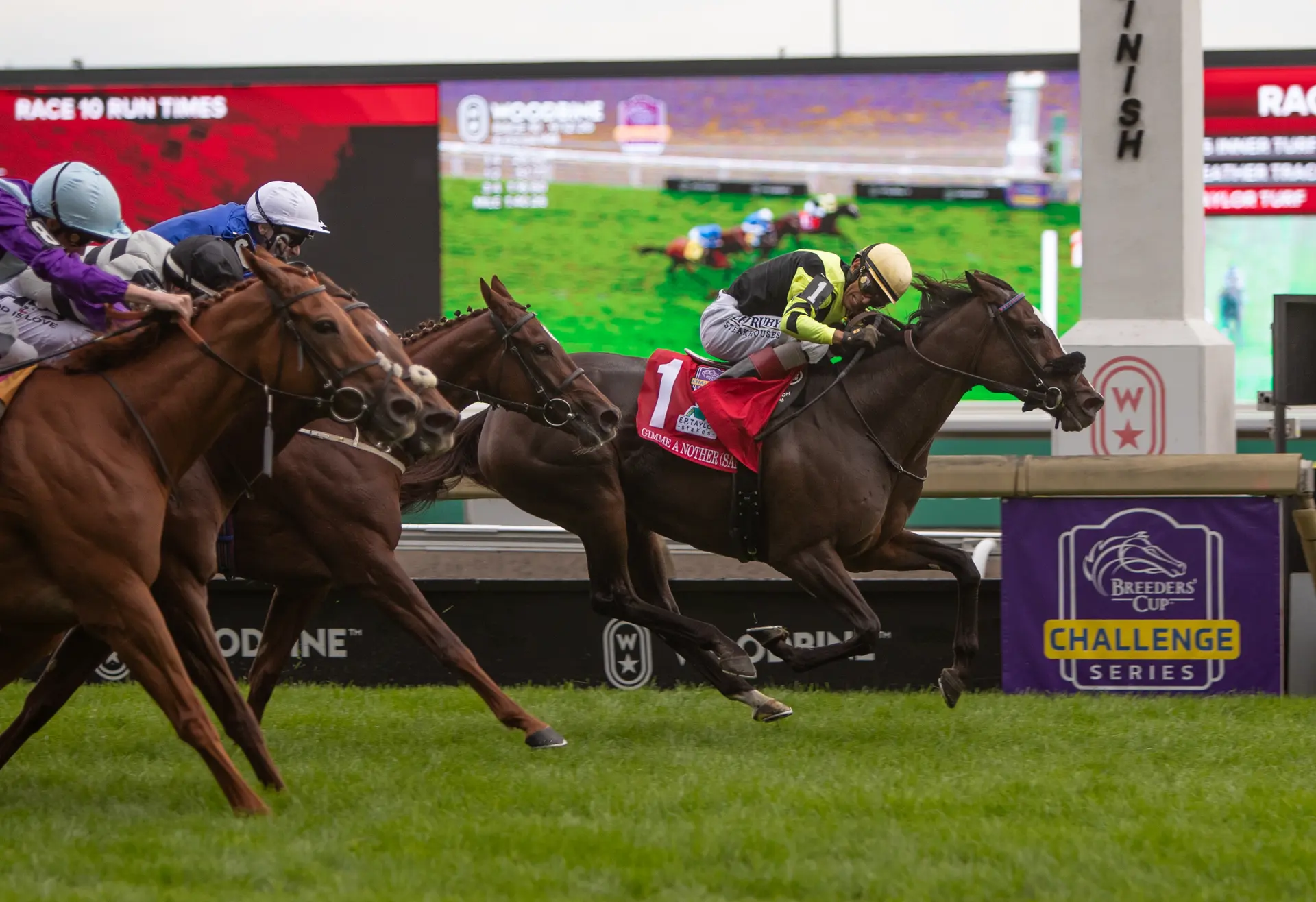 Breeders' Cup Filly and Mare Turf: Gimme a Nother now fully acclimated