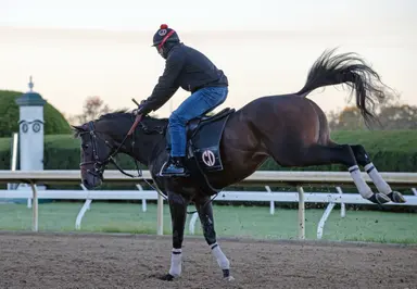 Breeders' Cup Sprint: Englishman fails to scare off competition