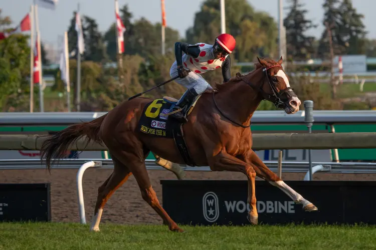 Win For The Money02.09-14-24.JUW_.jpg