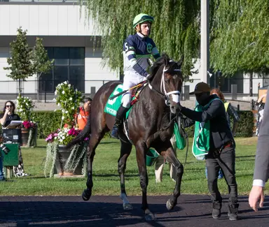 Casa Creed Stakes presents new configuration for many runners