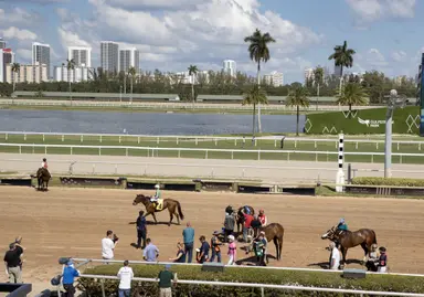 Gulfstream adds Monday racing, new wagering options