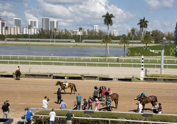 Gulfstream Park01.Scenic.3-26-26.BL