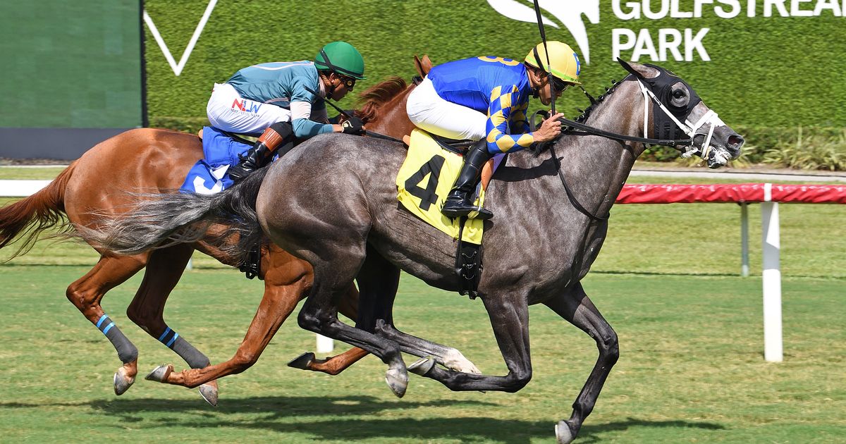 Call the Bullpen lands first stakes win in Miss Gracie