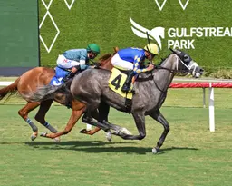 Call the Bullpen lands first stakes win in Miss Gracie