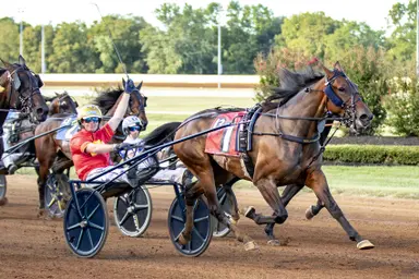 Red Mile:  Grade 1 Kentucky Futurity goes to Nix Nacken