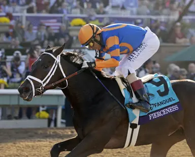 Gulfstream Park late pick five play for Saturday, Feb. 3, 2024