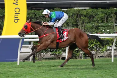 Declan Schuster's Hong Kong Selections and Analysis for Wednesday, February 21, 2024