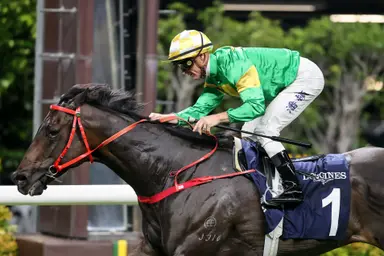 Zac Purton lauds Bottomuptogether after LONGINES Cup triumph, James Orman rides treble