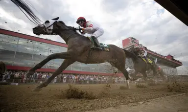 Pay Billy returns to winner's circle, eyes Native Dancer