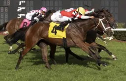Destino d’Oro noses Whiskey Decision in Hillsborough Stakes