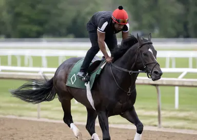 Damon's Mound tops Florida Cup Day looking to surpass $1 million in earnings
