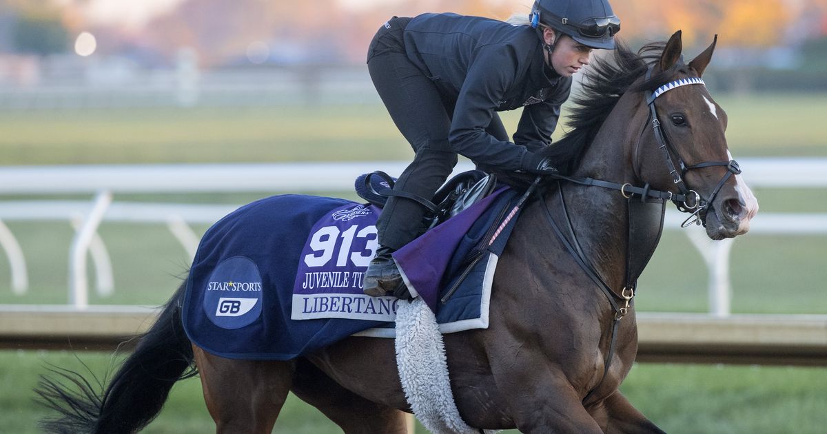 Breeders' Cup 2026: Europeans come in loaded for 2-year-old races