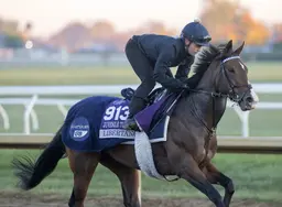 Breeders' Cup 2026: Europeans come in loaded for 2-year-old races