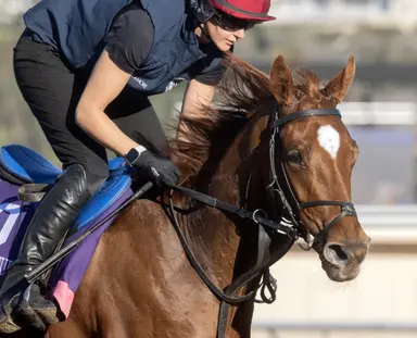 Royal Ascot 2026: Horse-by-horse guide - Coronation Stakes