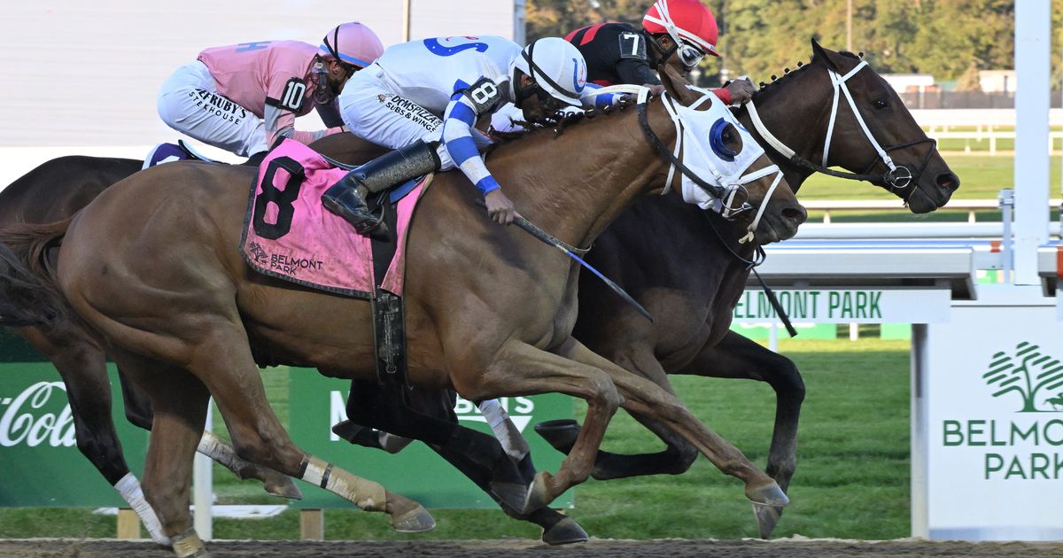 Iron Dome edges Wynstock, Tricky Business in Empire Classic