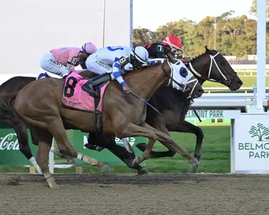 Iron Dome edges Wynstock, Tricky Business in Empire Classic