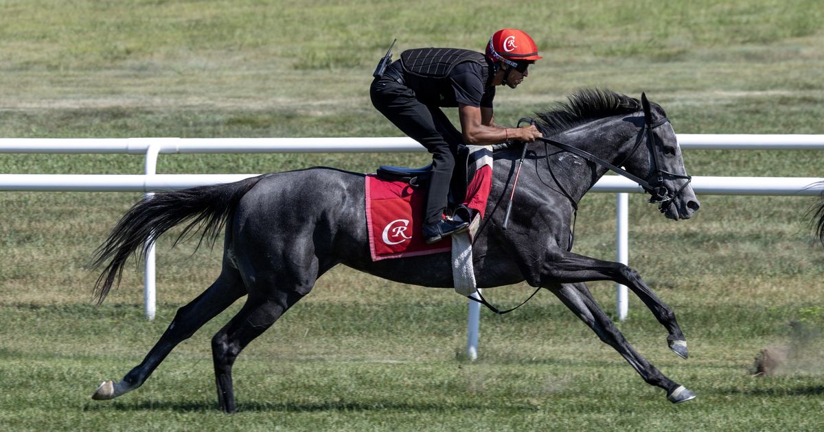Casse plans to run just one in stacked Fourstardave