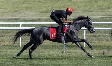Casse plans to run just one in stacked Fourstardave