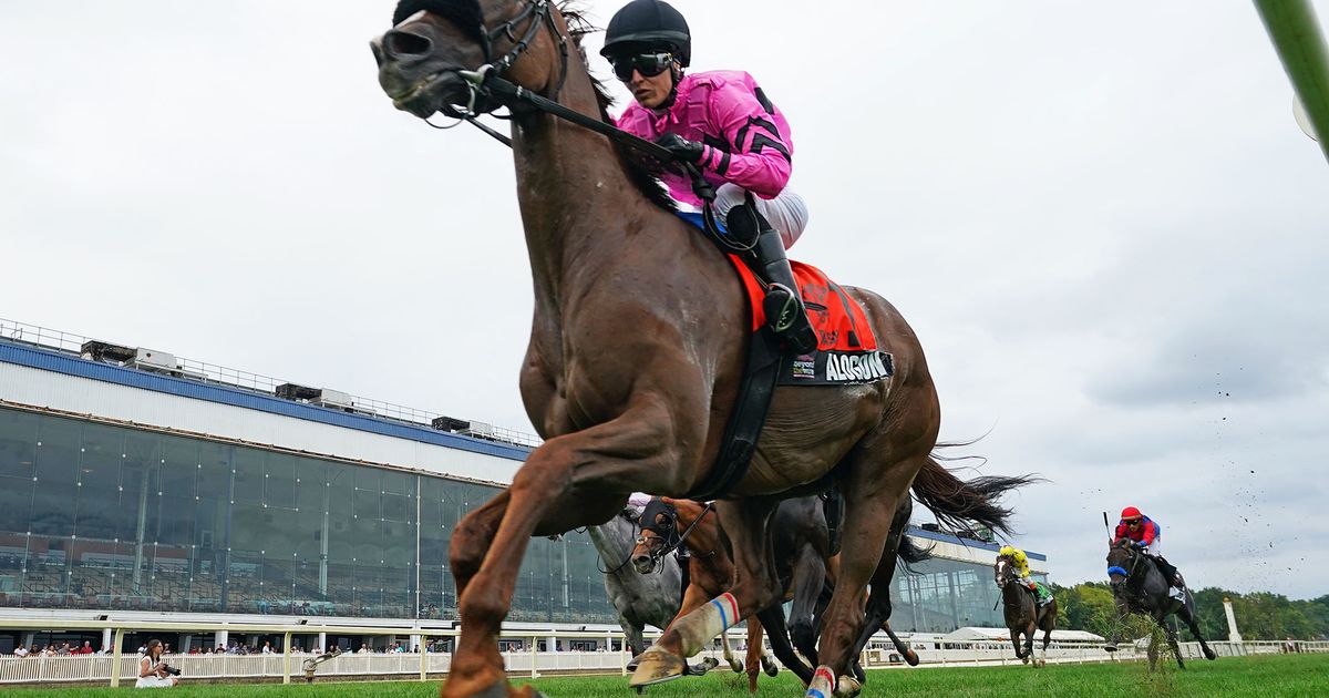 Alogon gets back on track with rail-skimming win in Laurel Dash