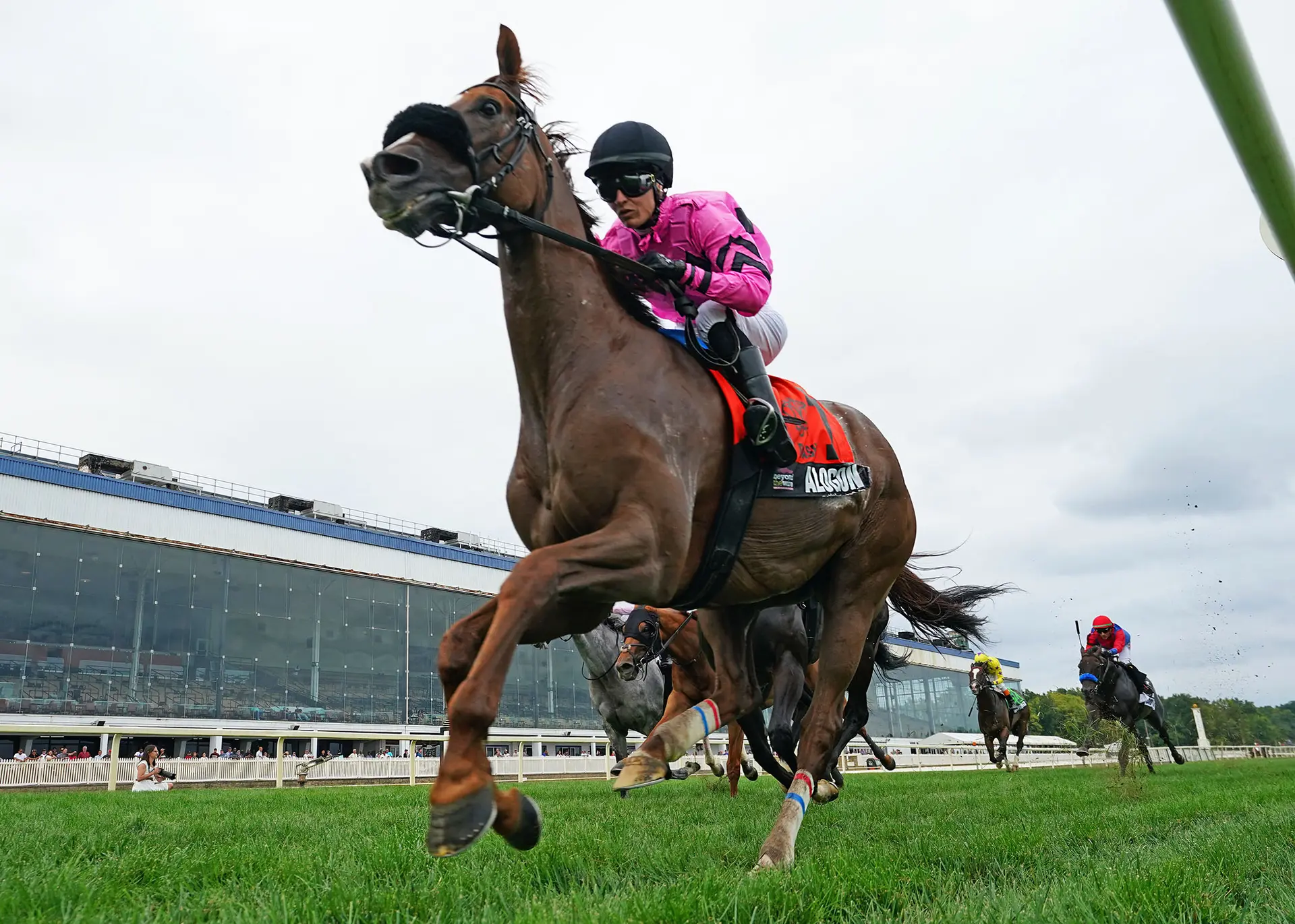 Alogon gets back on track with rail-skimming win in Laurel Dash