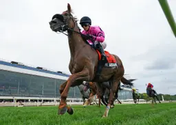 Alogon gets back on track with rail-skimming win in Laurel Dash