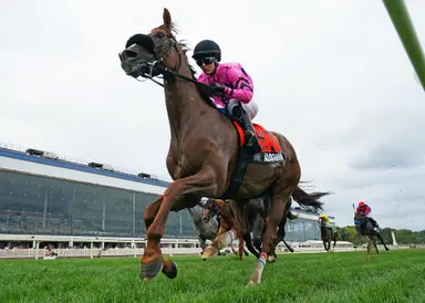Alogon gets back on track with rail-skimming win in Laurel Dash