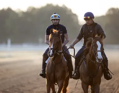 Paladin out of training again