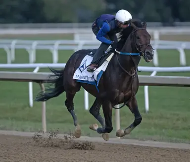 Breeders' Cup Classic: Might not be best to sleep on Magnitude
