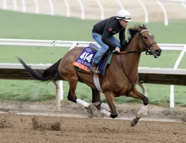 Fasig-Tipton November sale: Plenty of star power on Night of Stars