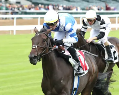 Pace could be lacking in tricky LaCombe
