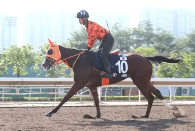 Late-runners dominate betting in bulky Victoria Mile