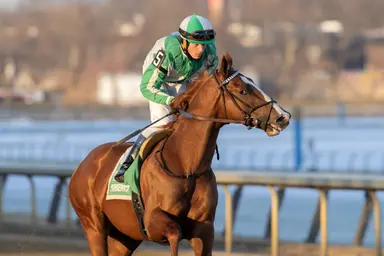 Right to Party among five late Triple Crown nominees