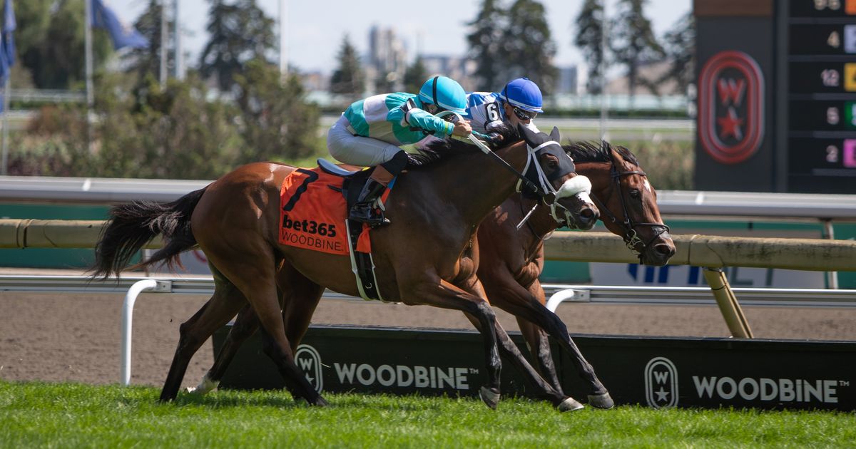 Attard and company sweep Soaring Free, Catch A Glimpse