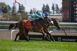 Attard and company sweep Soaring Free, Catch A Glimpse