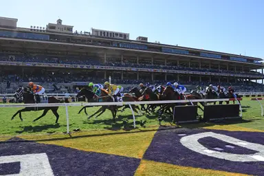 DRF's Horse Racing Playbook for Sunday, November 16, 2025